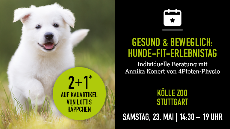 230526 Hundephysio Stuttgart Mobile 768x432px