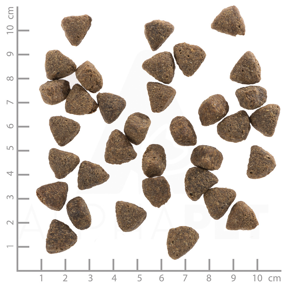 Das Bild zeigt Wolfsblut Trockenfutter für Hunde in dreieckiger Form. Die Marke ist Wolfsblut, und das Produkt richtet sich an Hunde. Die Geschmacksrichtung ist nicht erkennbar. Die Kroketten sind braun und etwa 1-2 cm groß, wie die Skala im Bild zeigt. I