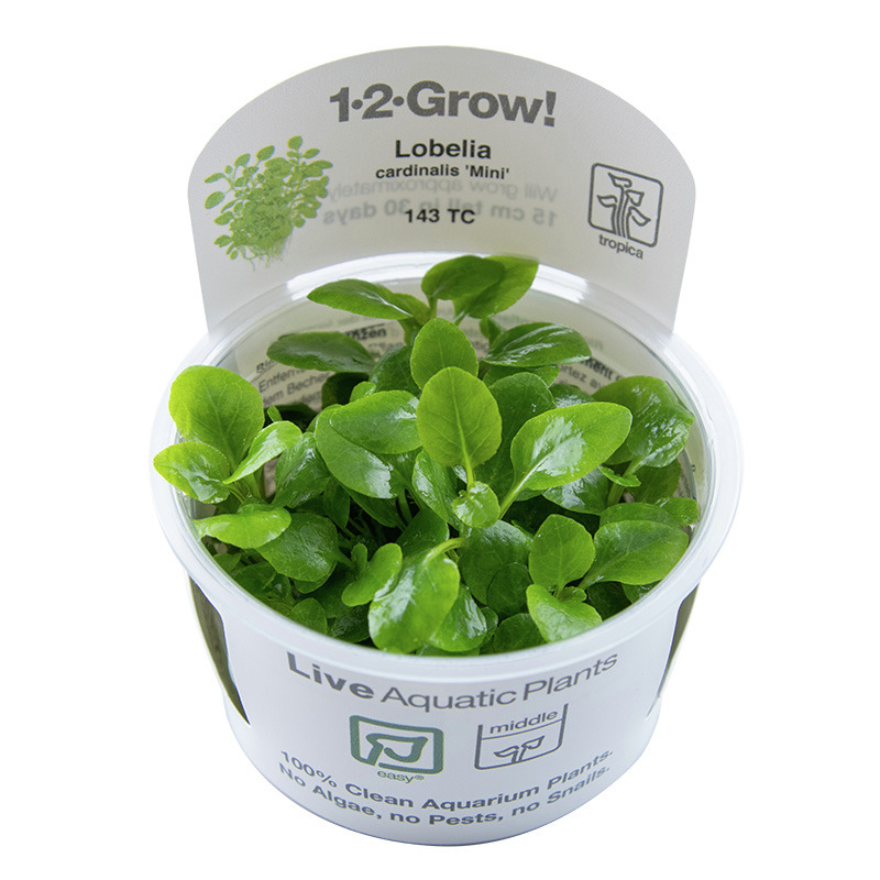 Tropica Pflanzendünger, 500 ml, für Aquarienpflanzen, fördert Wachstum & liefert Nährstoffe, ideal für Aquarienliebhaber.