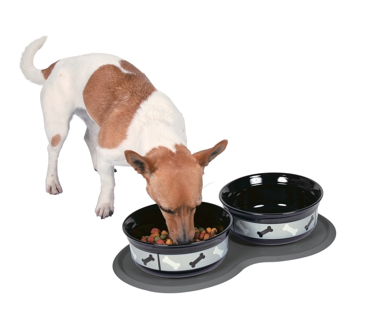 Auf dem Bild ist ein kleiner Hund mit braun-weißer Fellzeichnung zu sehen, der aus einem Futternapf frisst. Der Napf gehört zum Produkt „TRIXIE Napf-Set mit Unterlage“ und ist für Hunde geeignet. Das Set besteht aus zwei Näpfen mit Knochenmotiv und einer 
