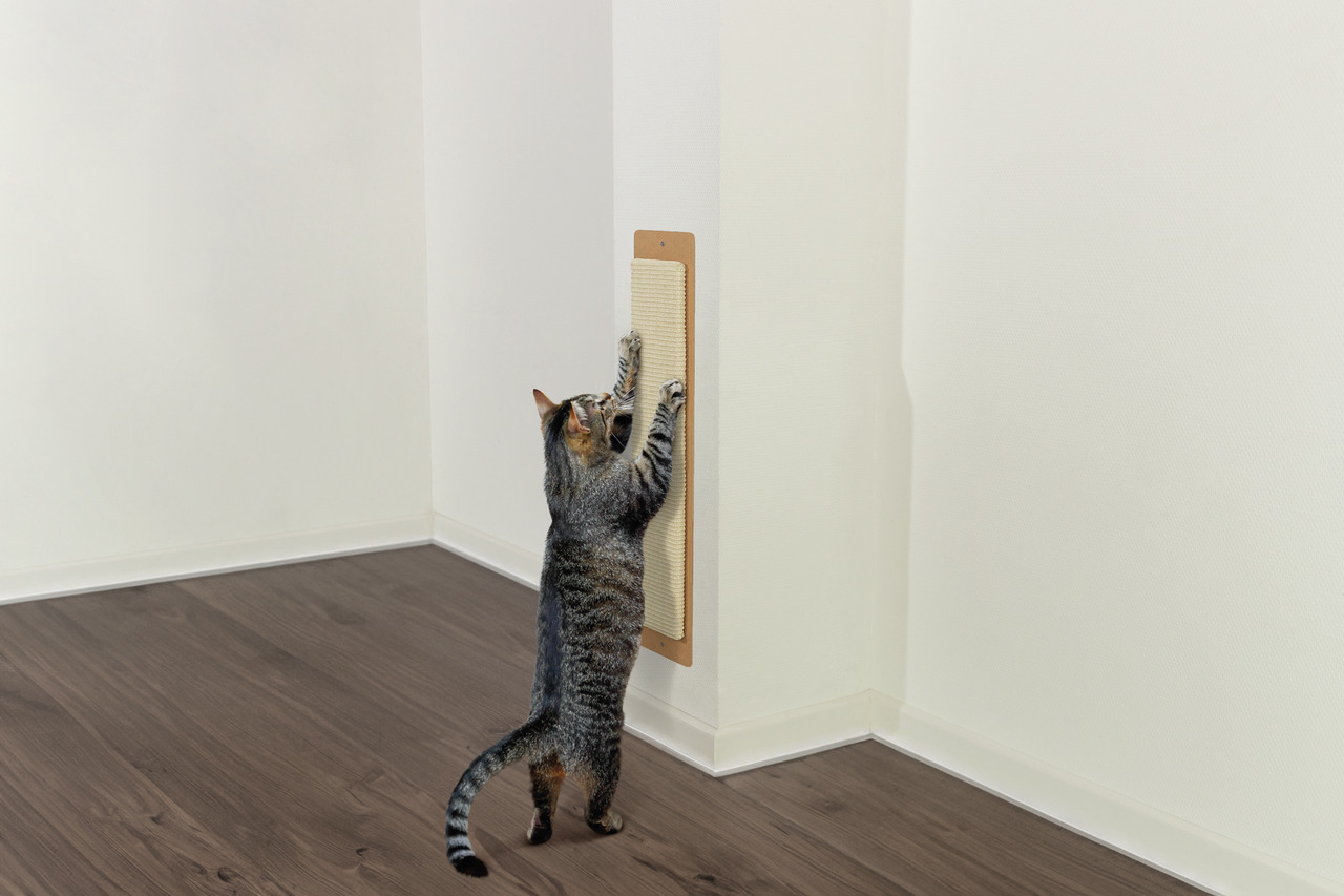 TRIXIE Kratzbrett für Katzen, Sisal, Wandmontage, Krallenpflege & Beschäftigung, für alle Altersgruppen.
