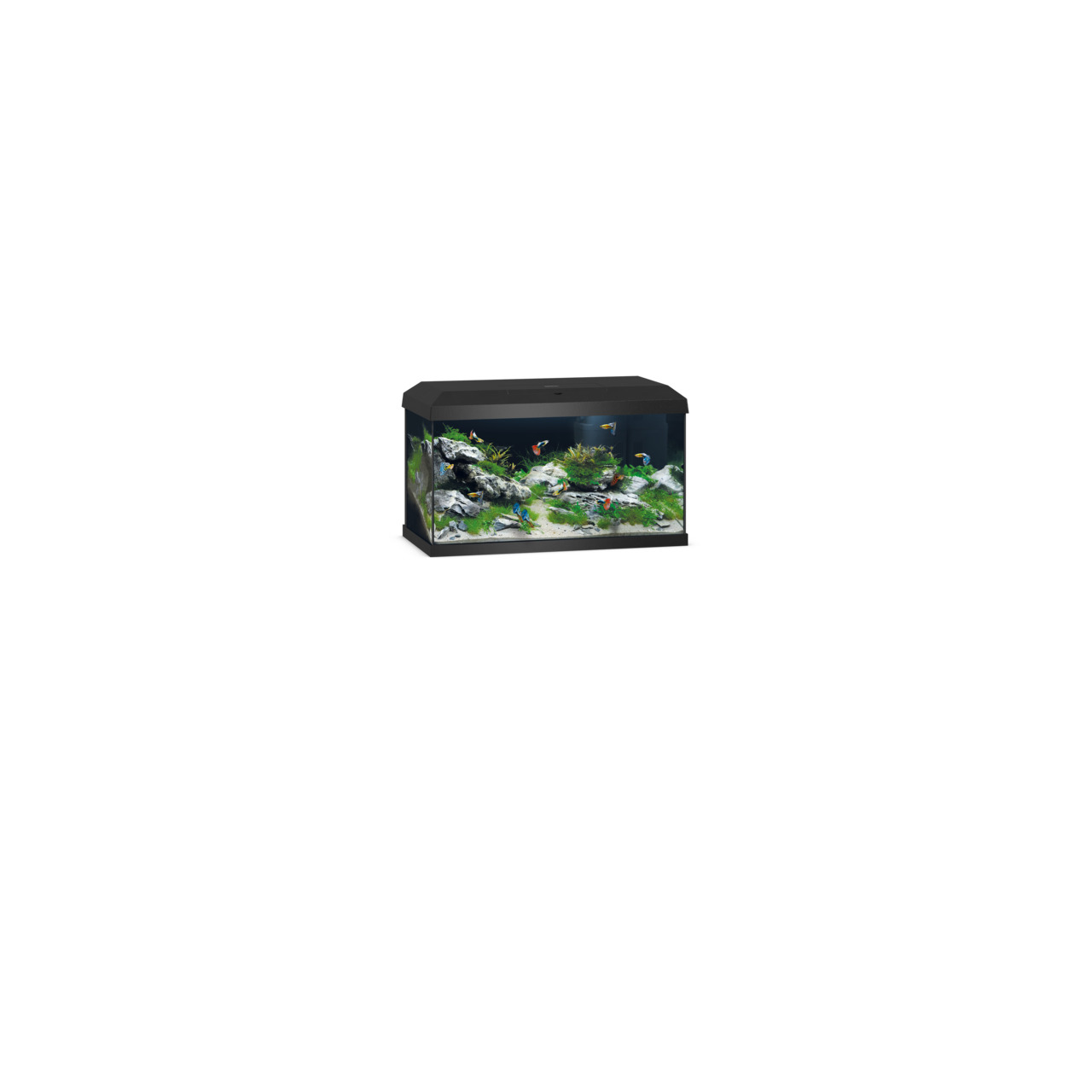JUWEL Aquarium Primo 110 LED, für Süßwasserfische, 110 L, schwarz, LED-Beleuchtung, ideal für Einsteiger & erfahrene Aquarianer.