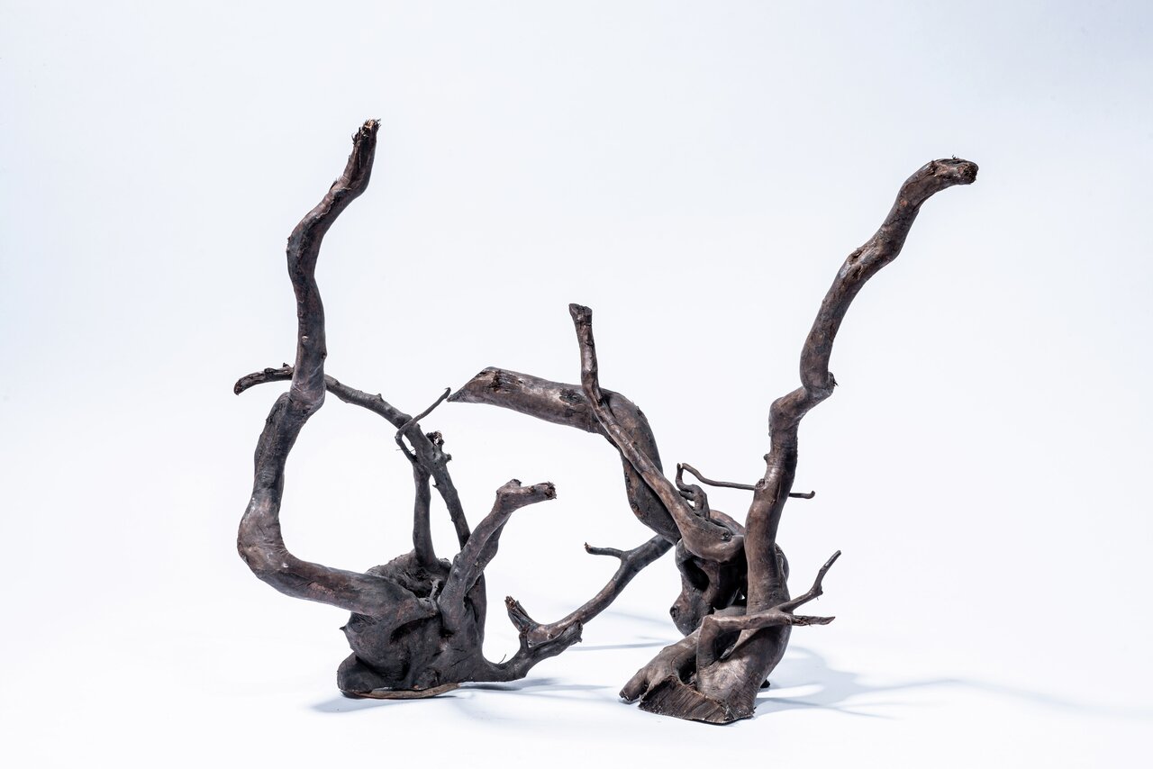 Aquadeco Wurzeln, für Aquarien/Terrarien, naturbelassen, dunkelbraun, verzweigt, für Aquaristik-/Terraristik-Fans, dekorativ.