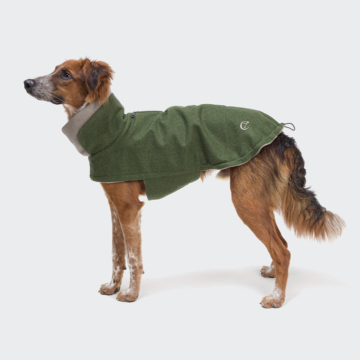 Cloud7 Hundemantel Olivgrün, für Hunde aller Größen, Schutz vor Kälte, hoher Kragen, weiche Innenseite, ideal im Winter.