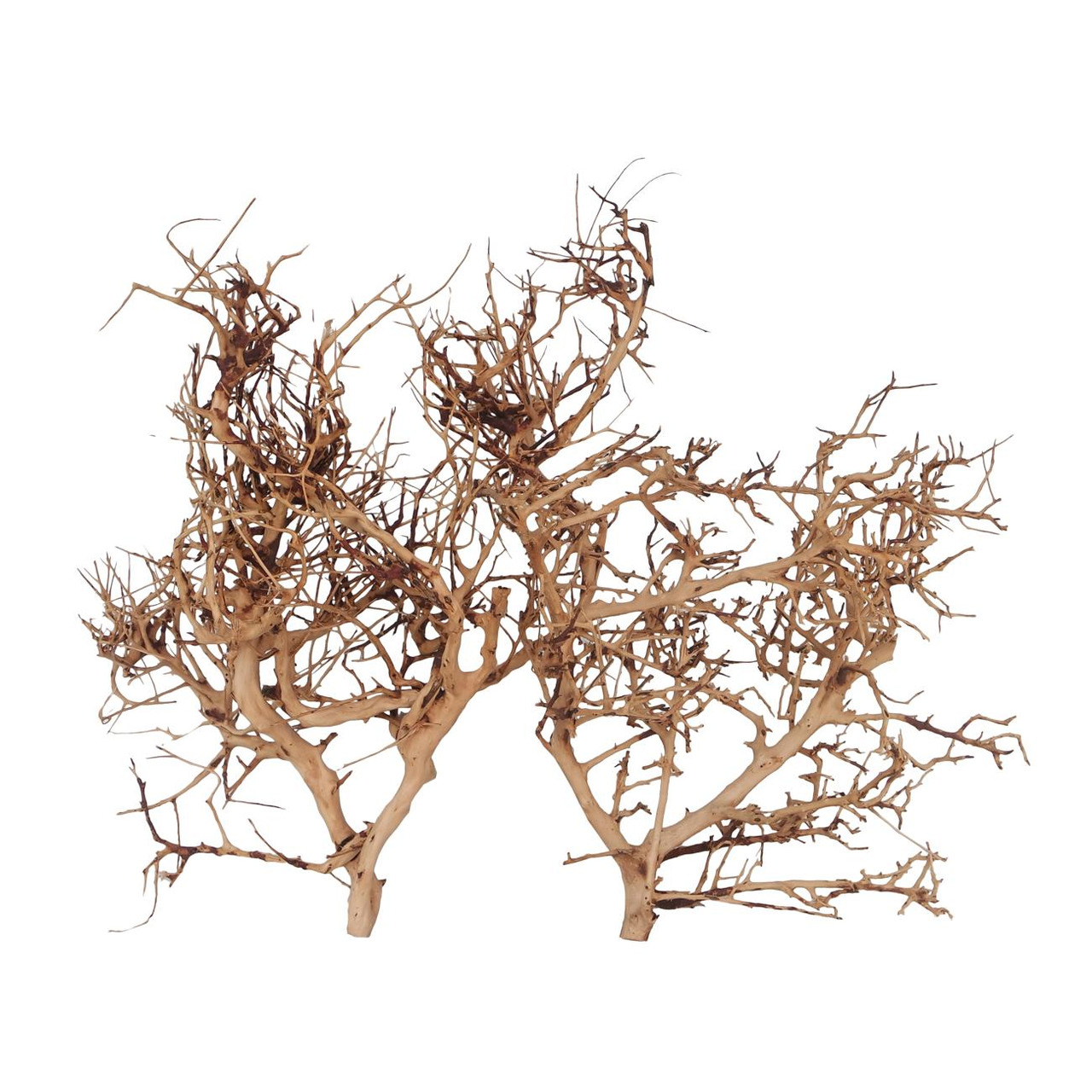 AQUA DELLA Mangrovenholz, Naturholz f. Aquarien/Terrarien, f. Aquaristik-/Terraristik-Fans, Verstecke f. Fische/Reptilien, dekorativ.