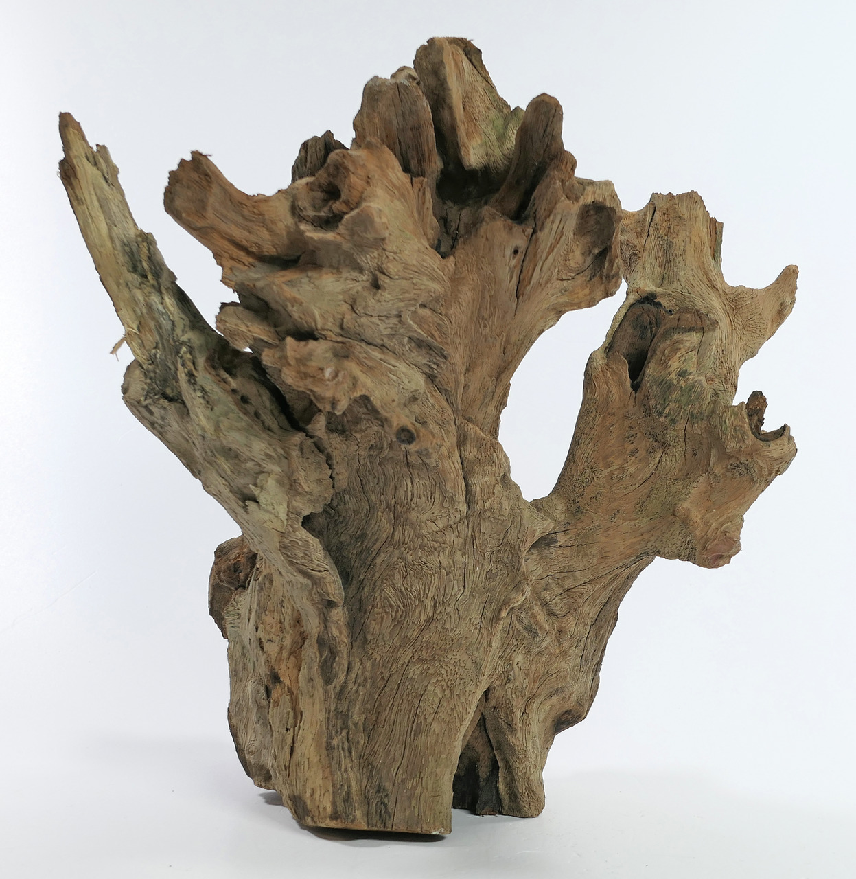 ORBIT Treibholz, für Aquarien-Terrarien, Dekoration & Versteck für Fische-Reptilien, raue Struktur, natürliche Maserung, Maße variabel.