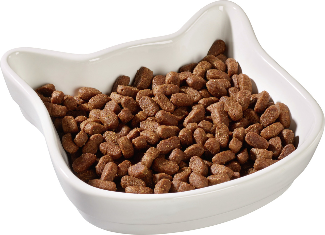 AniOne Katzentrockenfutter für ausgewachsene Katzen, Geschmacksrichtung unbekannt, Menge nicht angegeben, in katzenförmiger Schale.