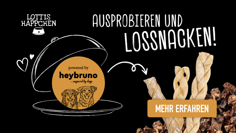 Kol 0740 Lotti Heybruno Blogbanner920x518