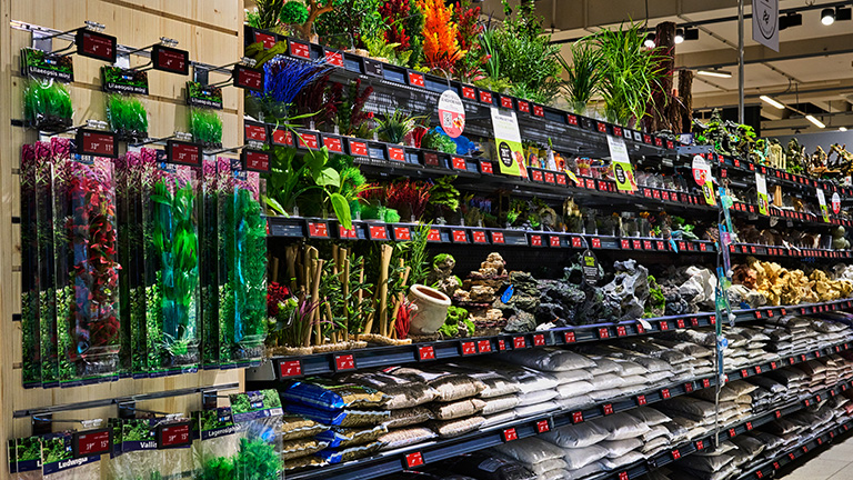 Regale Dsc6614 768x432px