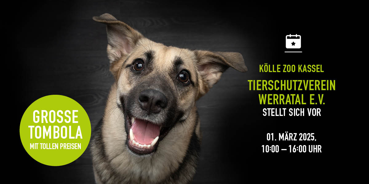 010325 Event Tierschutz Kassel Nl