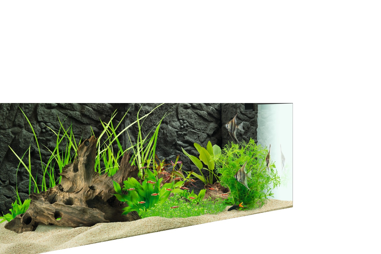 Sparpaket 2 x Juwel Background Aquarium Rückwand Stone Granite