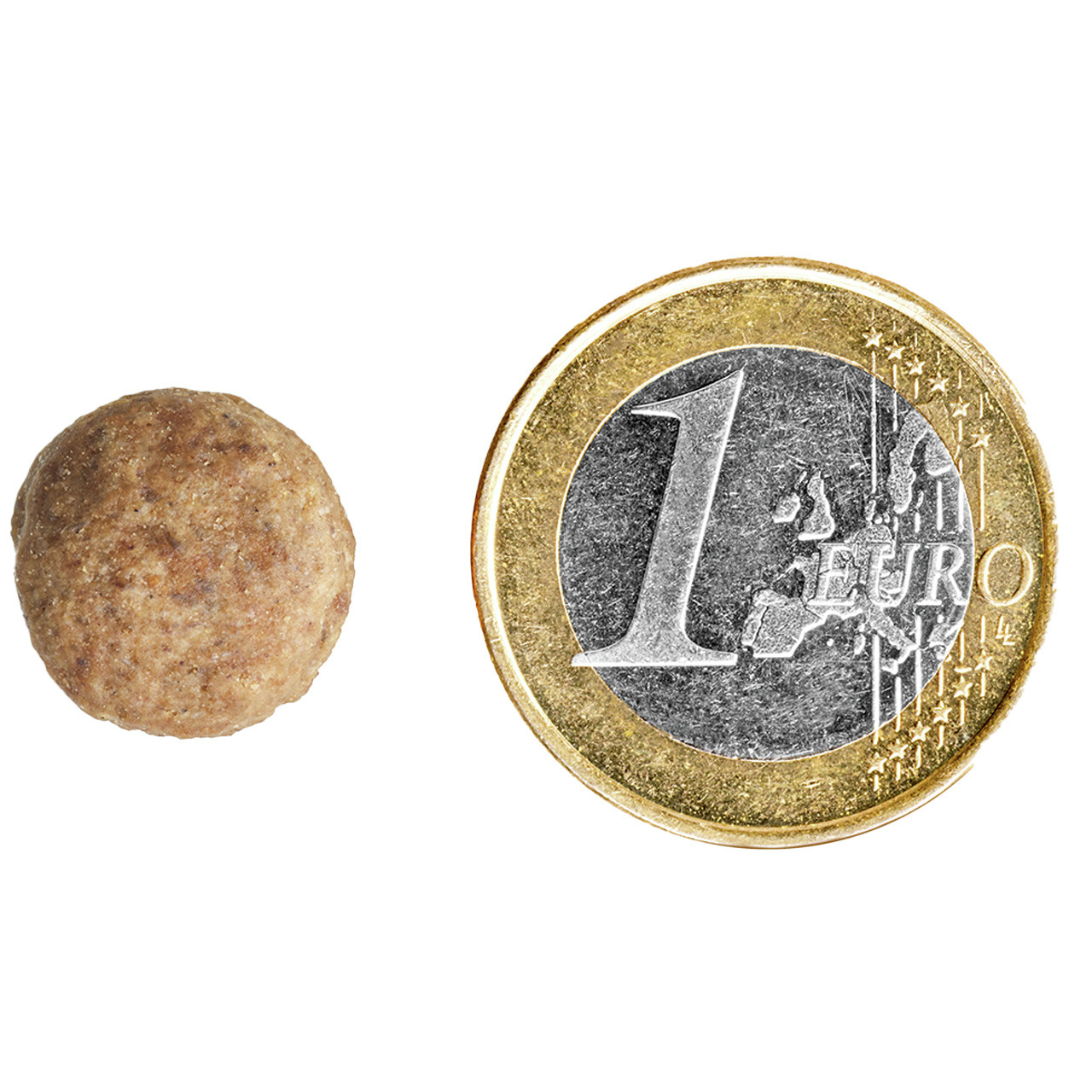 Das Bild zeigt ein einzelnes Trockenfutterstück der Marke TIKAANI neben einer 1-Euro-Münze zum Größenvergleich. Das Produkt ist für Hunde geeignet und bietet eine ausgewogene Ernährung. Die Geschmacksrichtung und genaue Menge sind nicht erkennbar. EAN: 42