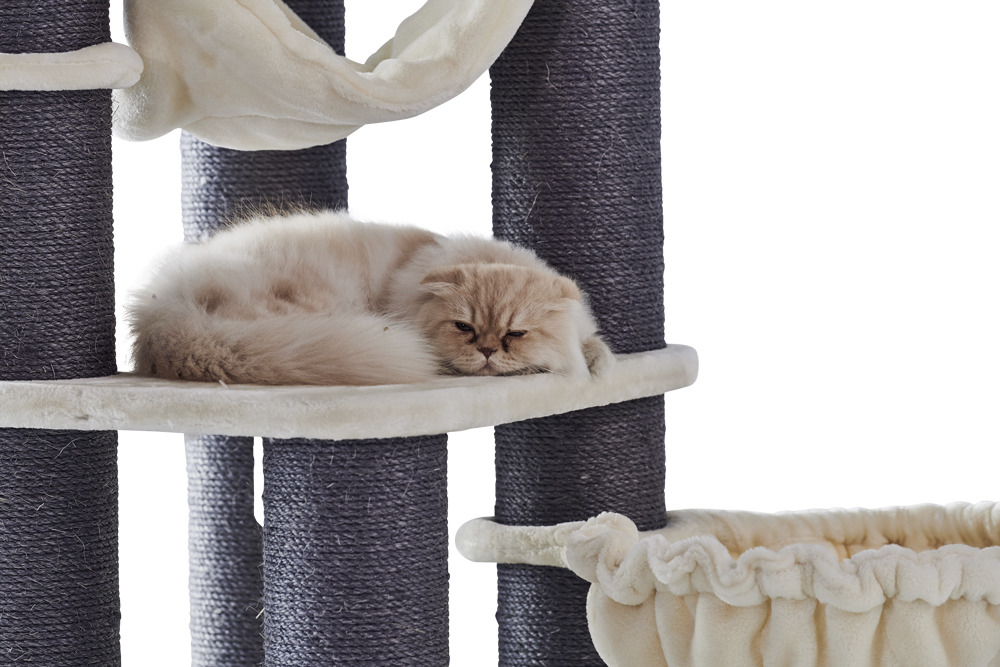 Ein cremefarbener, flauschiger Perserkater liegt entspannt auf einer mit weichem Plüsch bezogenen Plattform eines dunkelgrauen Kratzbaums. Der Kratzbaum der Marke Nobby ist für Katzen geeignet und bietet mehrere Ebenen sowie eine Hängematte. Ideal für Spi