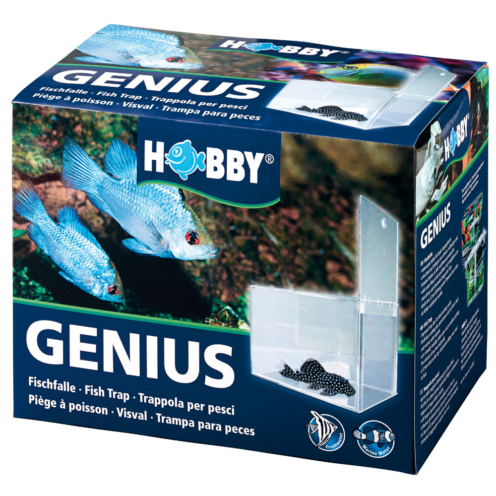 HOBBY Genius Fischfalle für Süß-/Meerwasseraquarien, transparent, sicheres Einfangen von Fischen, mit 2 blauen Fischen abgebildet.