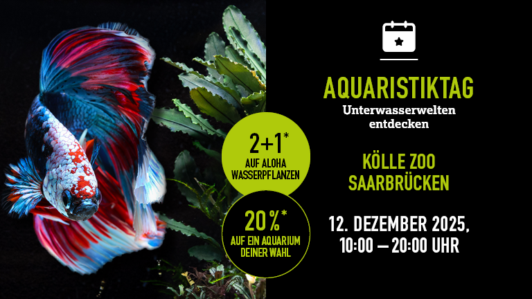 121225 Aquaristiktag Saarbrcken Mobile 768x432px
