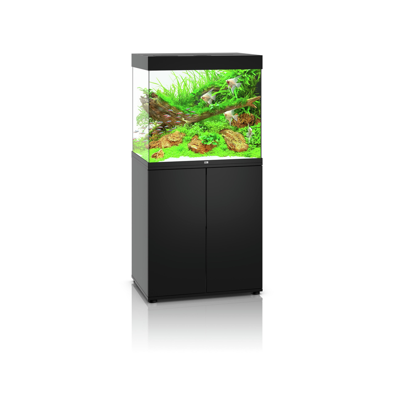 JUWEL Aquarium-Kombi Rio 125, Schwarz, 125 L, für Aquaristik-Fans, inkl. Pflanzen, Deko, Fische, Unterschrank mit Stauraum, Süßwasser.