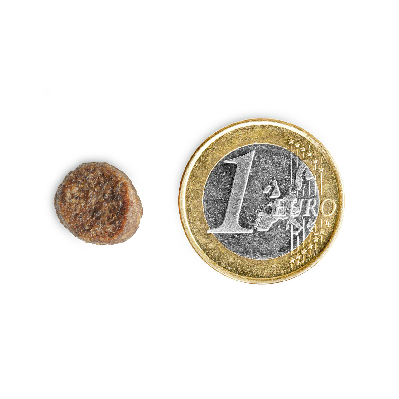 Das Bild zeigt ein einzelnes, rundes TIKAANI-Hundefutter-Leckerli neben einer 1-Euro-Münze zum Größenvergleich. Das Leckerli ist für Hunde geeignet und hat eine kompakte, bissfeste Konsistenz. Es dient als Belohnungssnack und ist ideal für kleine bis mitt