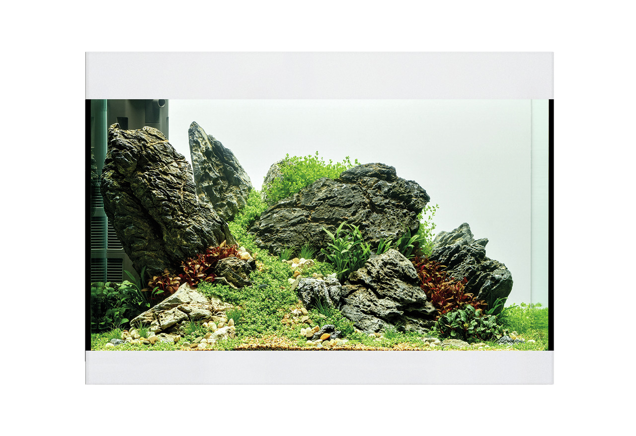 Oase Aquarium, für Aquaristik-Enthusiasten, naturnahe Umgebung für Fische & Pflanzen, mit Steinen, Pflanzen, modernem Rahmen.