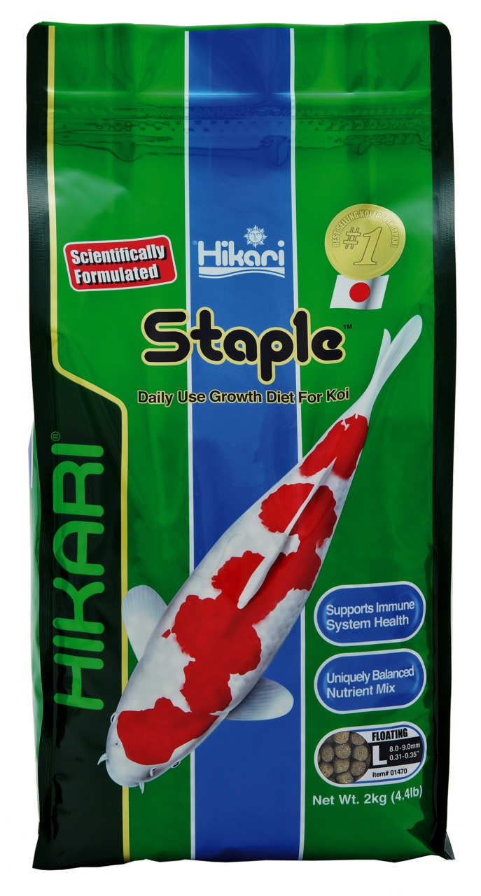Das Bild zeigt eine grüne Verpackung des Produkts „Hikari Staple“, ein hochwertiges Fischfutter für Koi. Die Zielgruppe sind Koi-Besitzer. Das Futter unterstützt die Gesundheit des Immunsystems und bietet eine ausgewogene Nährstoffmischung. Die Verpackung