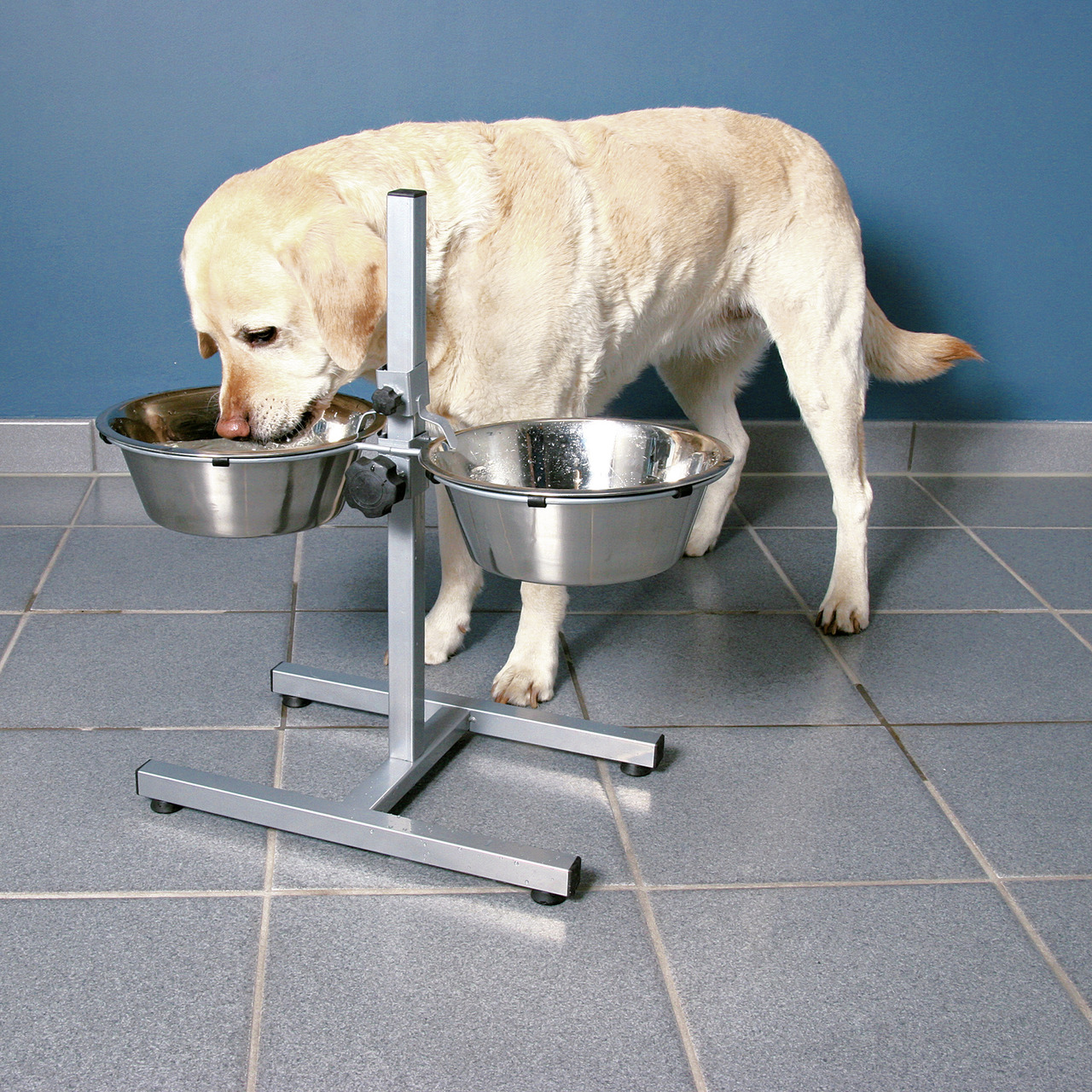 Das Bild zeigt einen Labrador, der aus einem höhenverstellbaren Doppelnapfständer der Marke TRIXIE trinkt. Der Ständer ist aus Metall und verfügt über zwei Edelstahlnäpfe, die ideal für Hunde geeignet sind. Dieses Produkt ermöglicht eine ergonomische Fütt