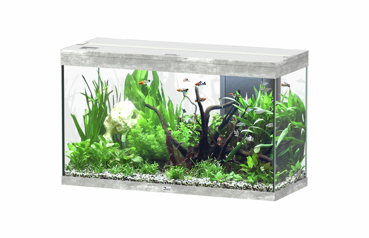Aquatlantis Aquarium, rechteckig, mit Pflanzen, Steinen & Holz, silberne Umrandung, weiße Abdeckung, für Aquaristik-Fans.