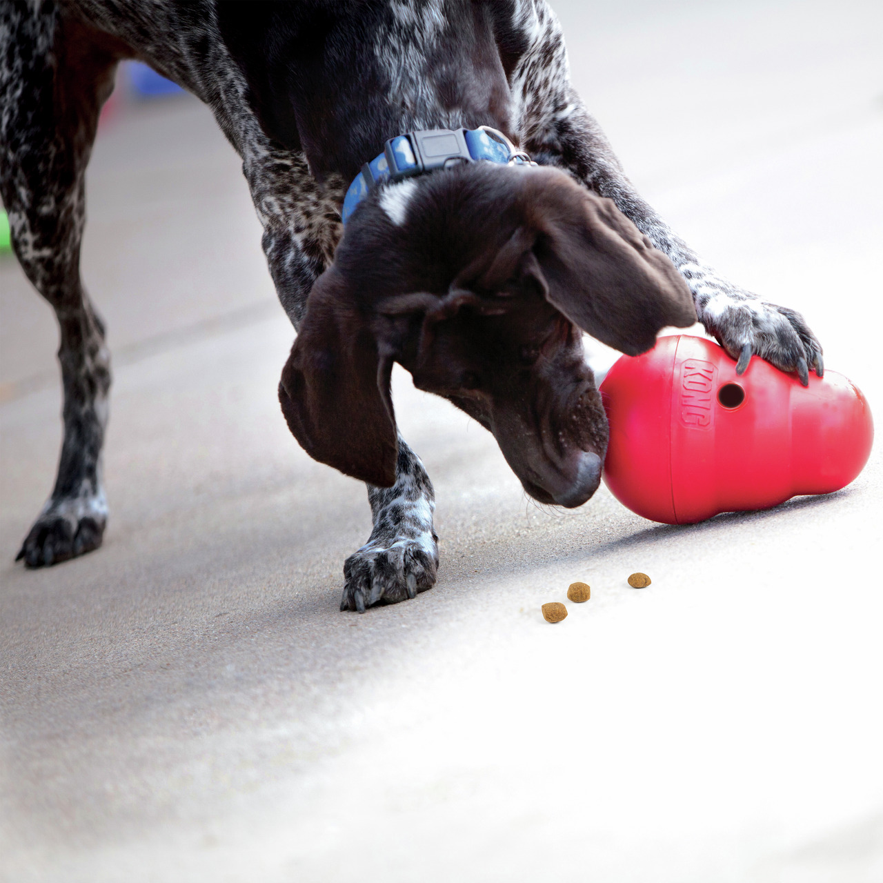 KONG Classic Hundespielzeug, robust & befüllbar, für Hunde, schwarz-weiß, Zielgruppe: Hunde, Geschmacksrichtung: Nicht erkennbar.