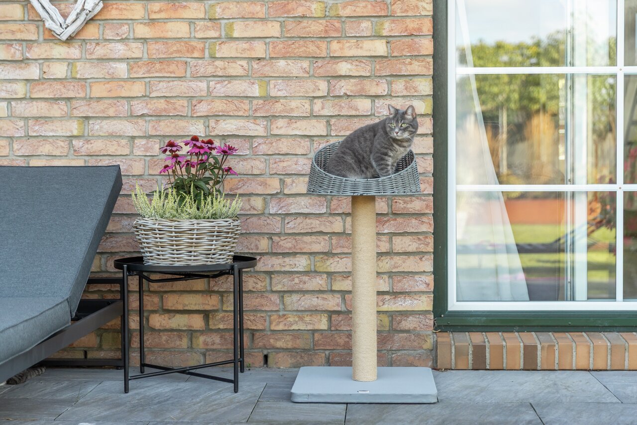 Kratzbaum von TRIXIE für Katzen. Geeignet für alle Katzen, mit Sitzfläche oben. Farbe grau, natürliche Materialien.