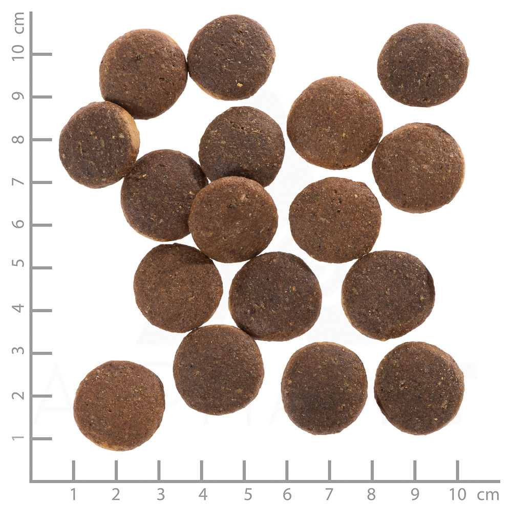 Wolfsblut Trockenfutter für Hunde, runde Kroketten (Ø 2 cm), gleichmäßig geformt, mit Skala zur Größenangabe.