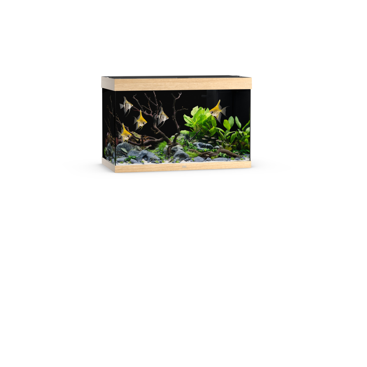 JUWEL Rio 290 LED helles Holz Aquarium