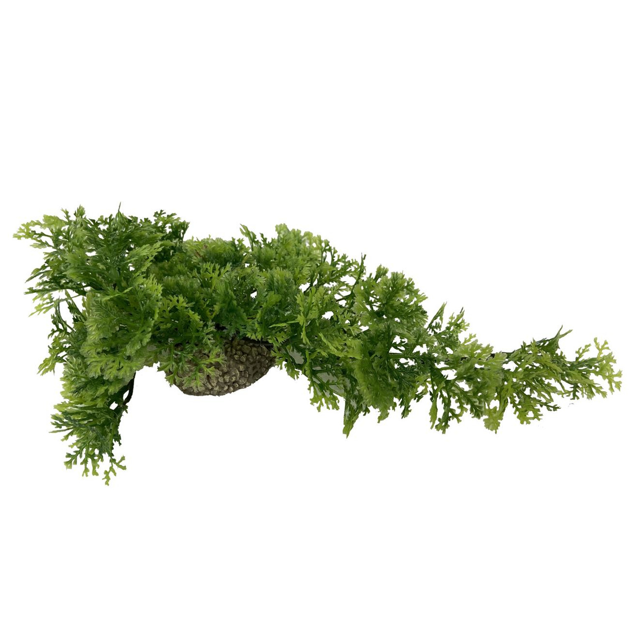 AQUA DELLA künstl. Aquariumpflanze "4047059468234", grün, realistisch, für Aquarienliebhaber, Versteckmöglichk. für Fische, pflegeleicht.