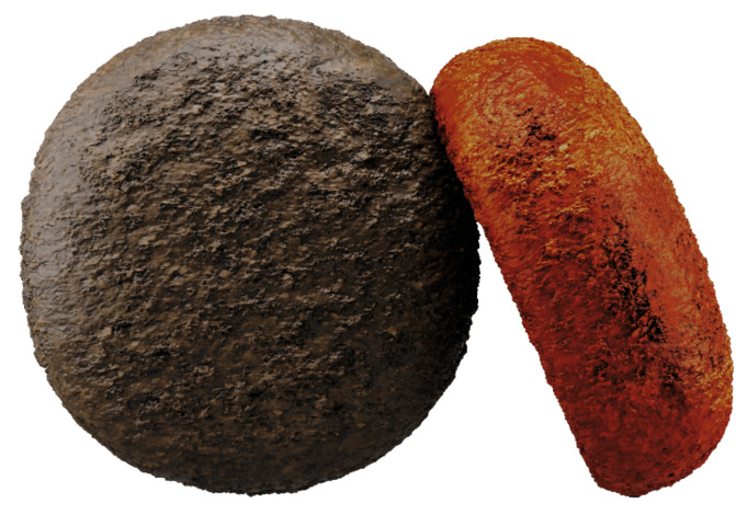 Das Bild zeigt zwei unterschiedlich gefärbte Kroketten des Hundefutters „Josera Festival“. Die linke Krokette ist dunkelbraun, während die rechte eine rötliche Färbung aufweist. Das Produkt richtet sich an ausgewachsene Hunde und bietet eine Kombination a
