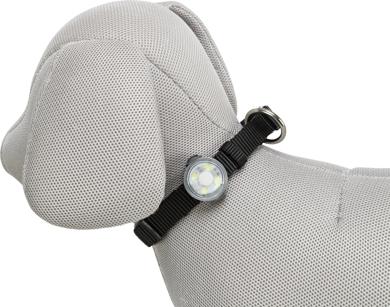 TRIXIE LED-Halsband für Hunde, schwarz, mit runder LED-Leuchte, verstellbar, robust, für Sichtbarkeit & Sicherheit bei Dunkelheit.