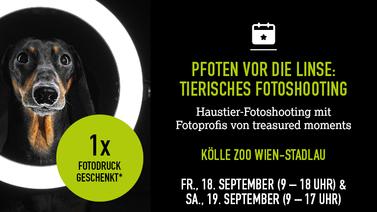 18+190926 Fotoshooting Wien Stadlau Mobile 768x432px