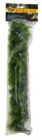 ZOO MED Pflanze CAHUARINA L 58 cm