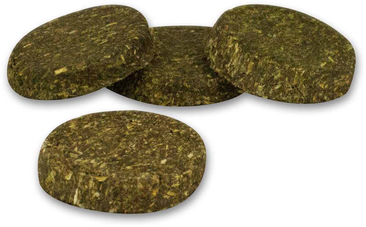 JR FARM Grainless Nager-Snack, für Kaninchen-Meerschweinchen, Kräuter+Gräser, ballaststoffreich, zahnpflegend, 4 Tabletten.
