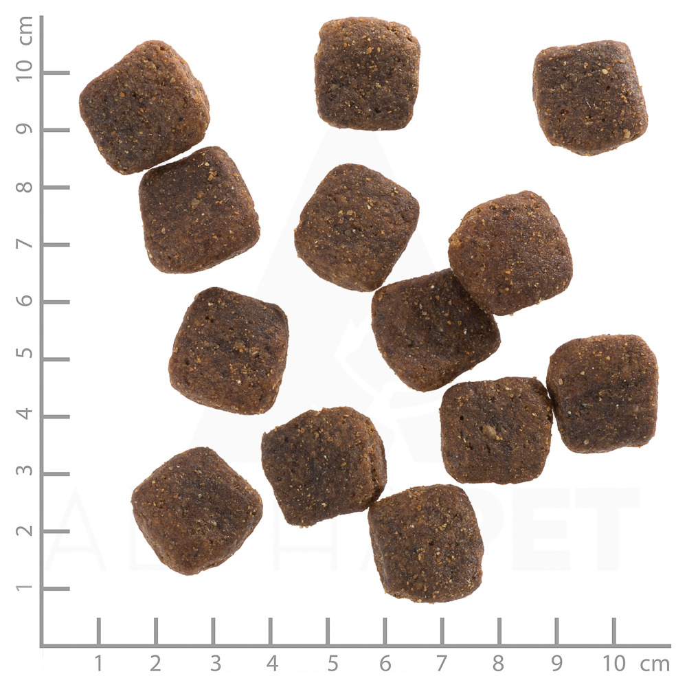 Wolfsblut Trockenfutter Wild Duck (Ente) für ausgewachsene Hunde.