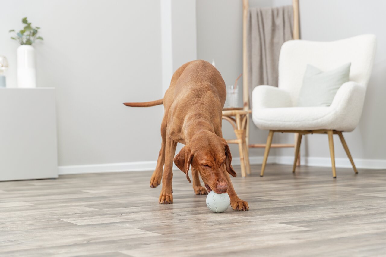 TRIXIE Hundespielzeug-Ball aus Gummi, für Hunde, robust & langlebig, braun, ideal zum Spielen, Menge nicht erkennbar.