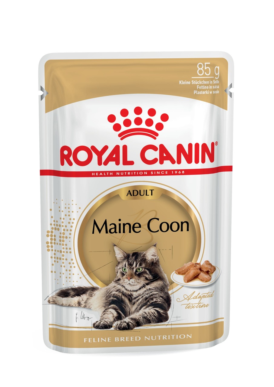 Das Bild zeigt eine Verpackung des Katzenfutters „ROYAL CANIN Maine Coon Adult“ in einer 85 g Portionsgröße. Es ist speziell für ausgewachsene Maine-Coon-Katzen entwickelt. Die Geschmacksrichtung ist nicht explizit angegeben, jedoch handelt es sich um kle