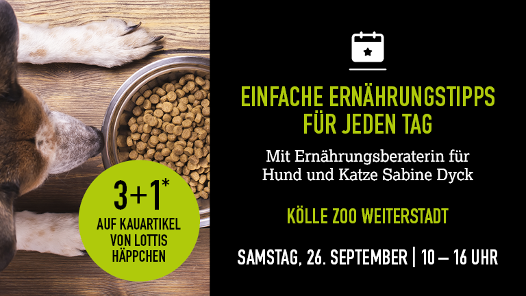 260926 Ernhrungsberatung Weiterstadt Mobile 768x432px