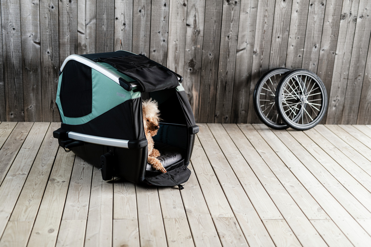 Thule Hundebuggy, Fahrradanhänger für Hunde, Schwarz/Grün, sicher & bequem, für Hundebesitzer, kleiner Hund, abnehmbare Räder.