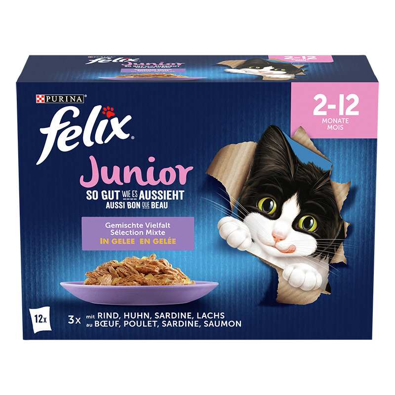 Felix so gut wie es aussieht Junior Gemüse Vielfalt 12x85 g