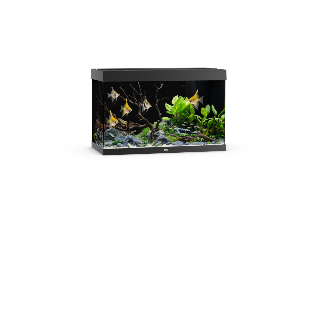 JUWEL Aquarium Rio 180, Schwarz, 180 L, für Süßwasserfische, stilvolle Umgebung mit Pflanzen, Steinen & Ästen, hochwertig.
