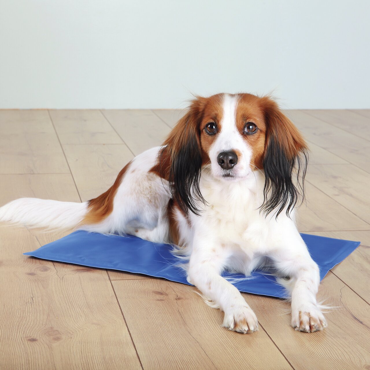 Auf dem Bild ist ein Hund zu sehen, der auf einer blauen Kühlmatte der Marke TRIXIE liegt. Die Kühlmatte ist speziell für Hunde entwickelt und bietet an heißen Tagen eine angenehme Abkühlung. Sie ist für alle Hunderassen geeignet und benötigt keinen Strom