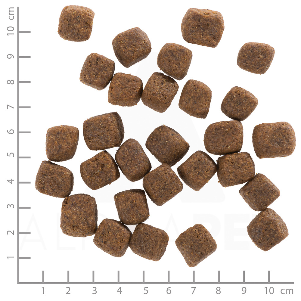 Das Bild zeigt Wolfsblut Trockenfutter für Hunde, Sorte "Wide Plain", mit Pferdefleisch als Hauptzutat. Die Zielgruppe sind ausgewachsene Hunde. Die abgebildeten Kroketten sind würfelförmig und etwa 1,5 cm groß. Das Futter ist getreidefrei und reich an na