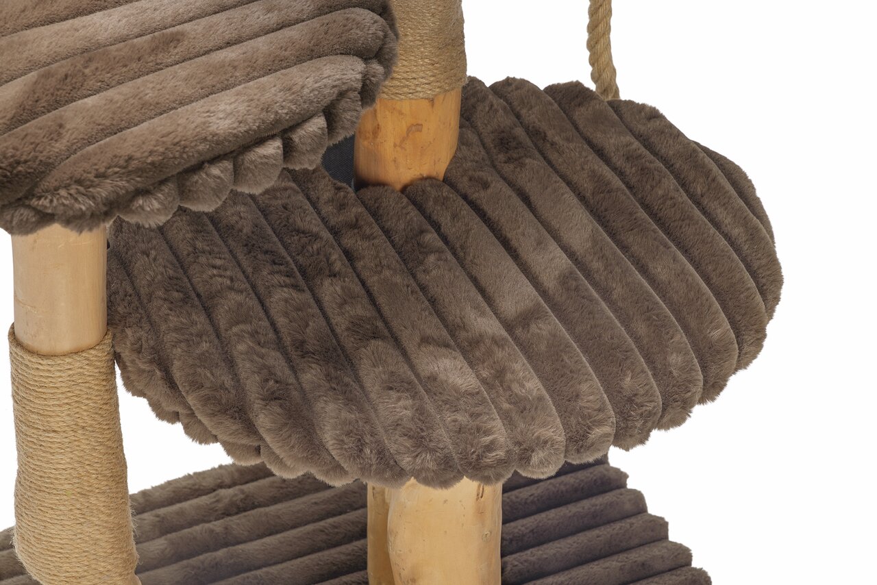 Designed by Lotte Katzenbett für Katzen, Farbe Beige, weiches Material, hoher Komfort, langlebig, Größe ca. 50x40 cm.