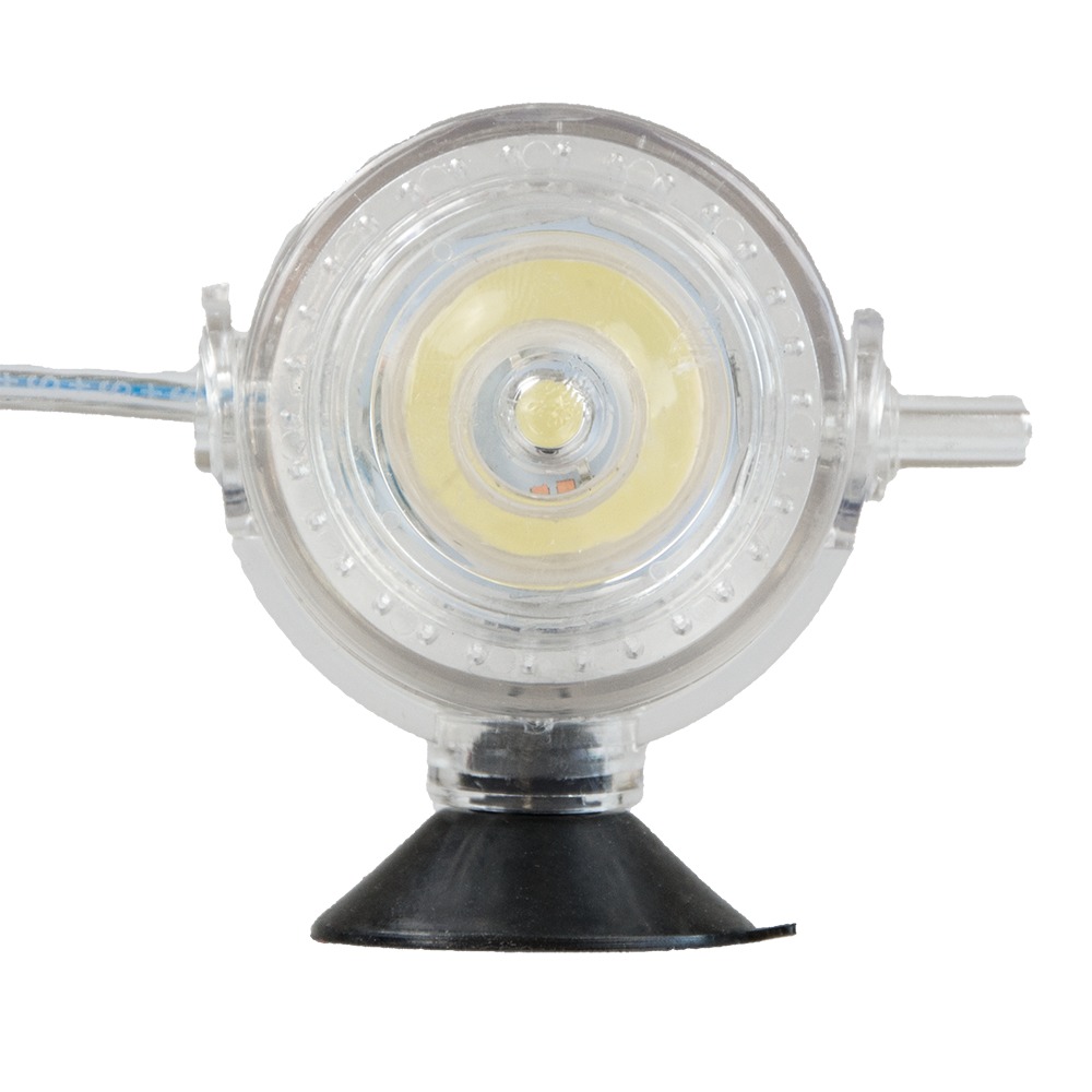 HOBBY LED-Luftausströmer, Zubehör für Aquarien, mit LED-Licht, für Sauerstoffversorgung & Deko, inkl. Saugnapf, transparent, rund.
