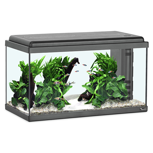 Aquatlantis Advance LED Aquarium, für Aquaristik-Enthusiasten, LED-Beleuchtung, ideal für tropische Fische, rechteckig, Glaswände.