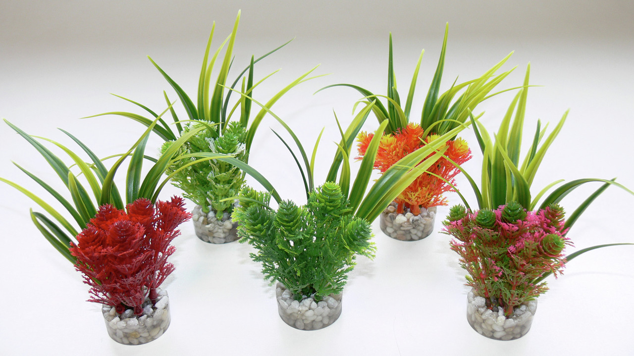 Künstliche Aquariumpflanzen von Sydeco, ideal für Aquarienliebhaber. Das Set enthält fünf farbenfrohe Pflanzen in Rot, Grün, Orange und Pink, die in kleinen, mit Kieselsteinen gefüllten Behältern befestigt sind. Perfekt zur Dekoration und Schaffung eines 
