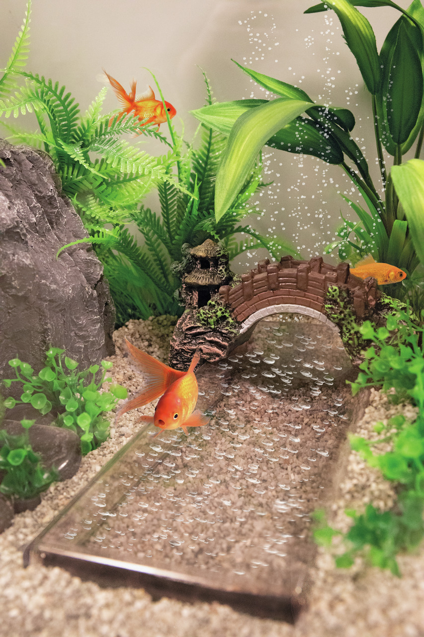 Superfish-Aquariumzubehör, für Aquaristik-Enthusiasten, dekorativ, mit Pflanzen, Steinbogen, Glasboden, für Goldfische.