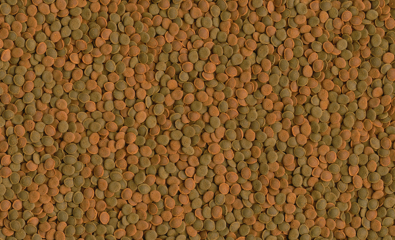 TetraMin Hauptfutter für trop. Zierfische, braune-grüne Flocken, ausgewogene Ernährung, Menge nicht sichtbar.